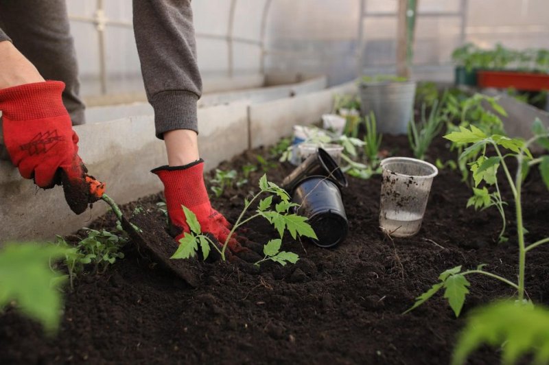 Gardening may reduce stress, anxiety, depression Gardening may reduce stress, anxiety, depression